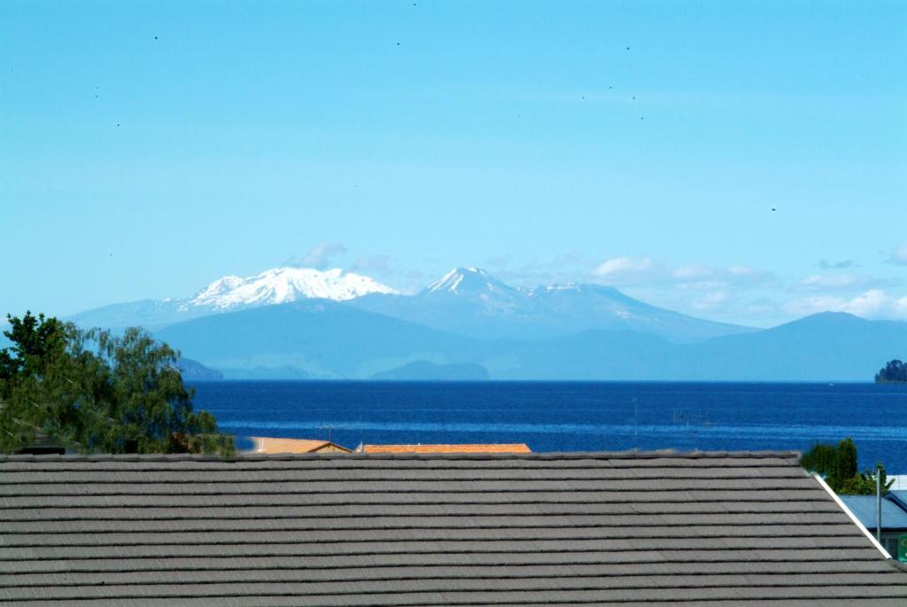 Tiki Lodge Backpackers Taupo Oda fotoğraf